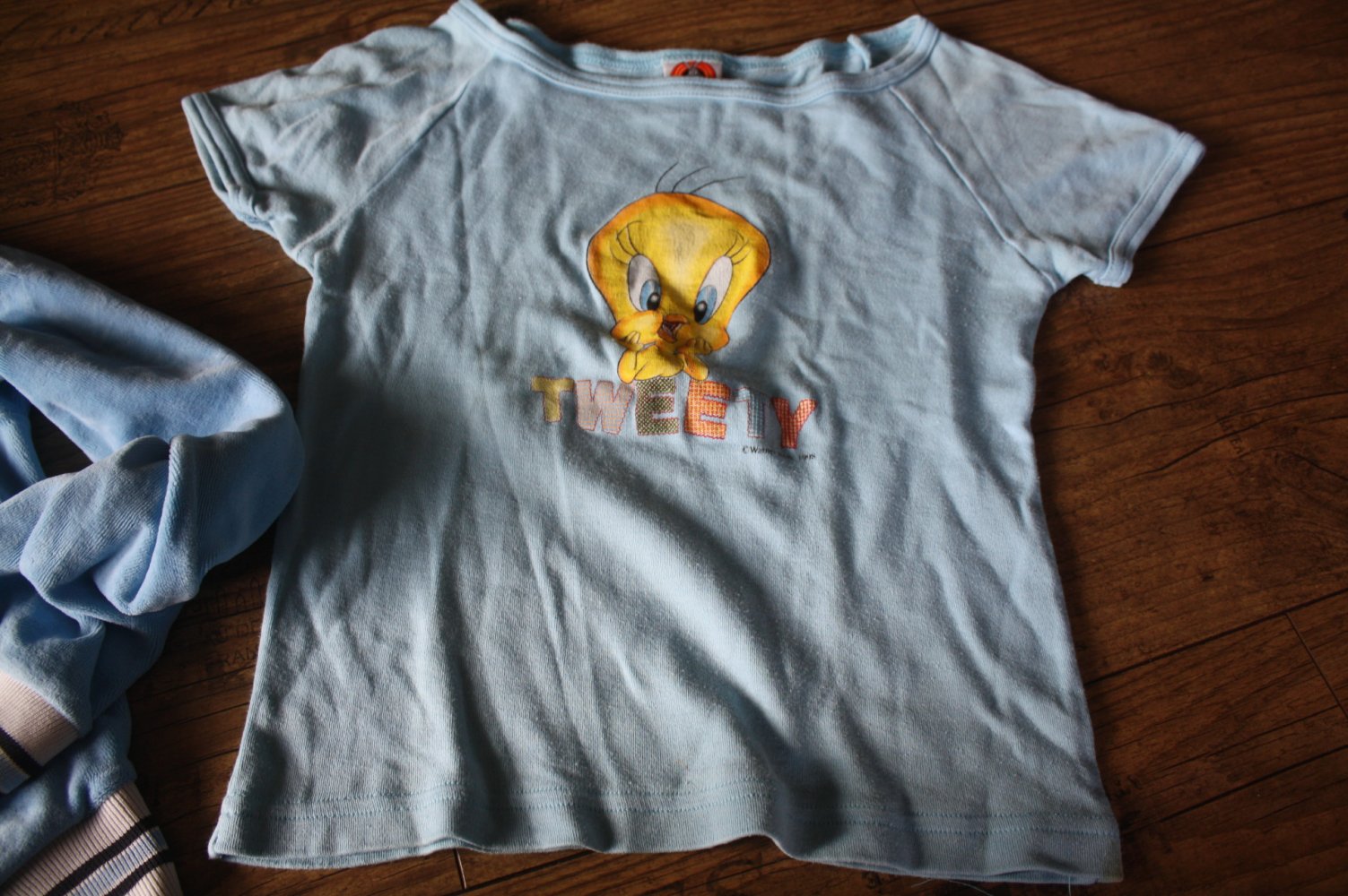 2 er Set zweiteiler Tweety Loonely tunes Elmi Samtjacke Shirt 146 Mädel