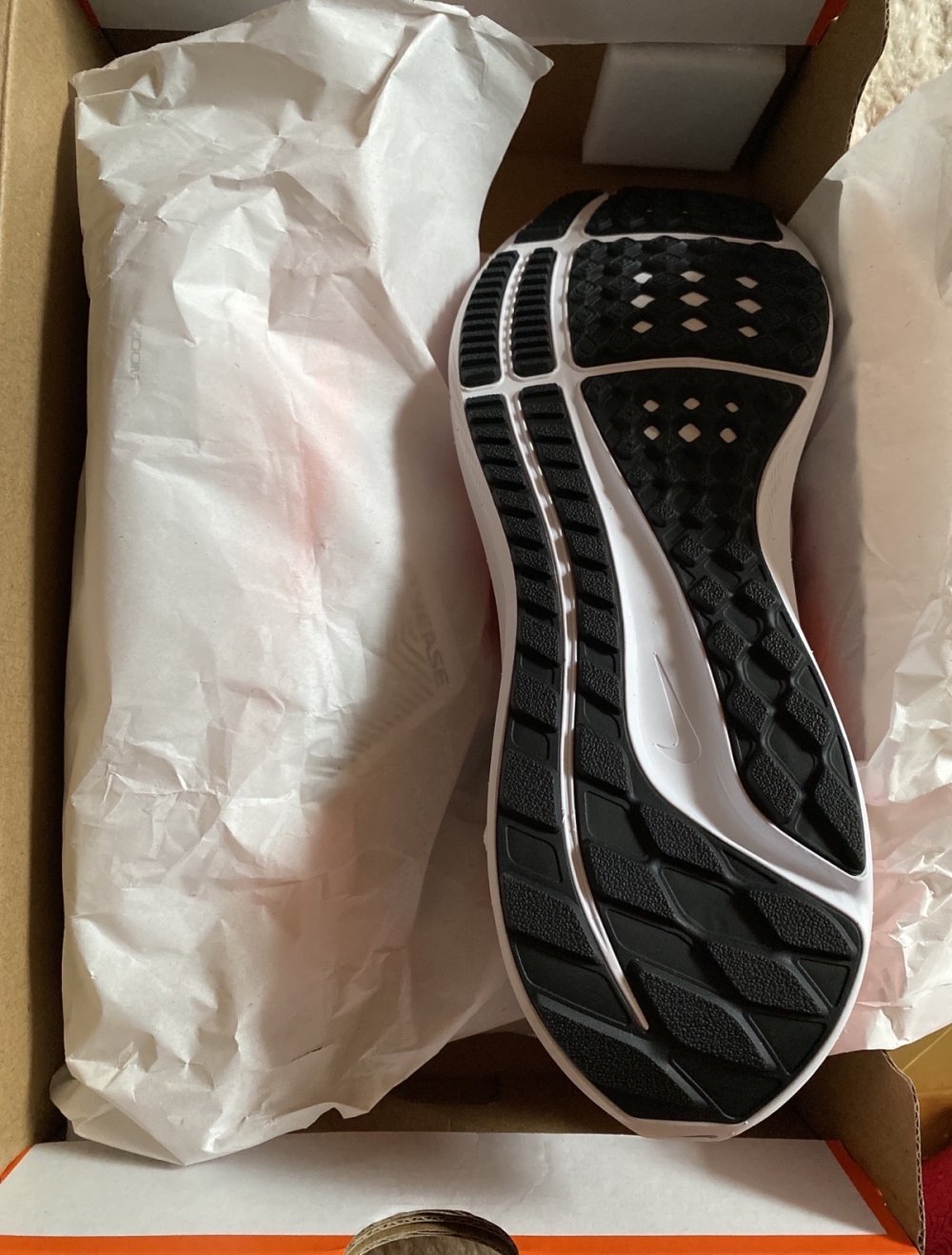 Nike Pegasus 39 Flyease EU 44,5