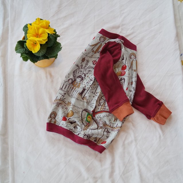 Langarmshirt Shirt egal wie rum anziehen Wendeshirt Gr. 80 86 mit wunderschönem Wimmelbild-Druck