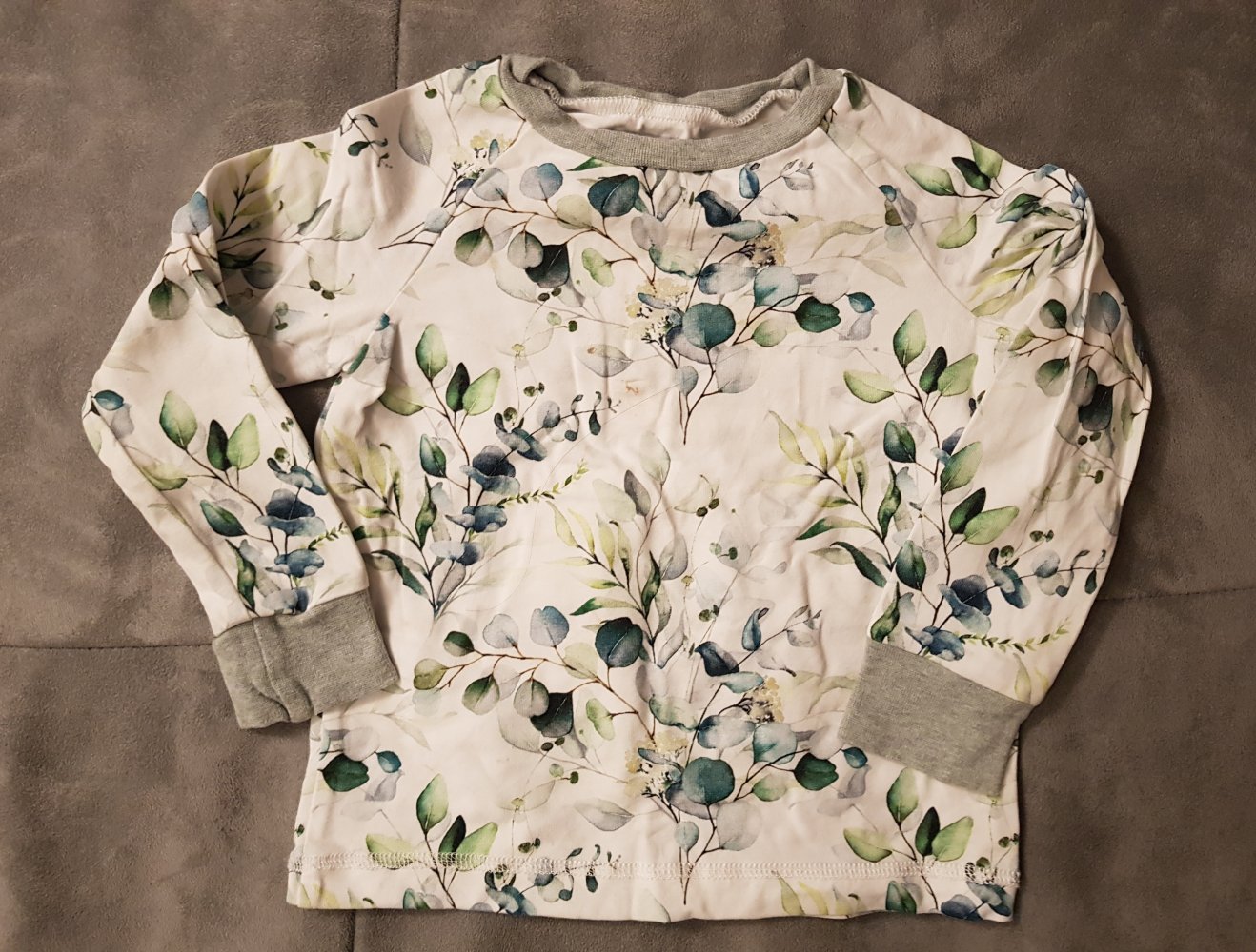 Pulli Fuchs und Kiwi