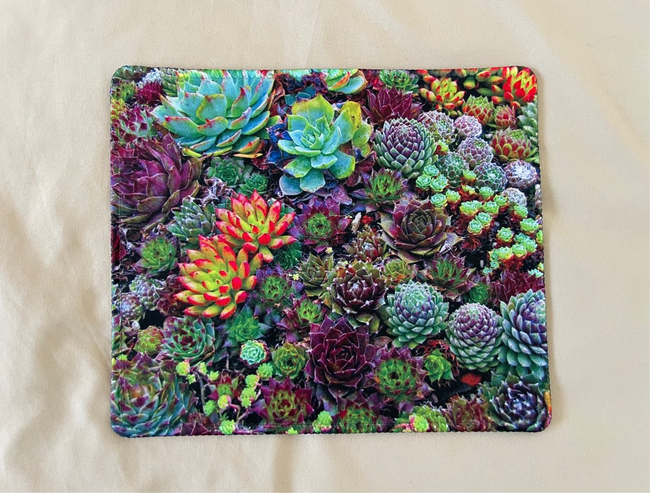 Mauspad mit Kaktusfoto