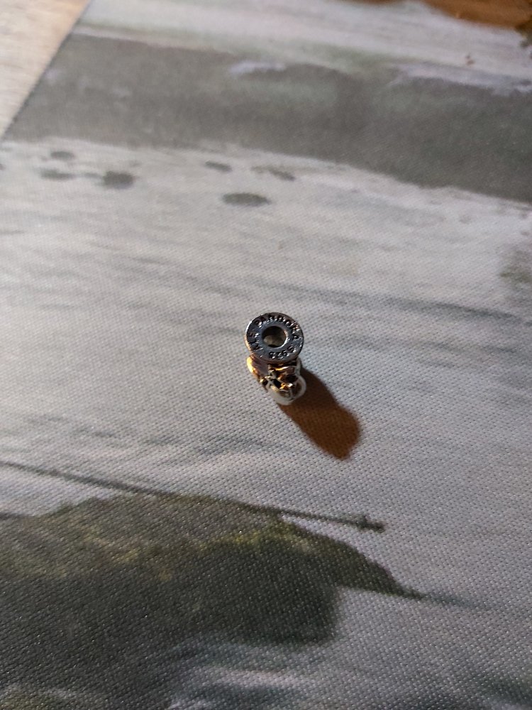 Disney Cinderella Pandora Charm