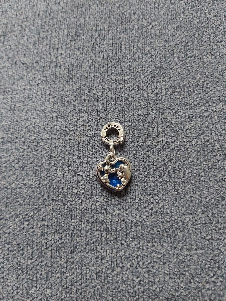 Disney Pandora Charm
