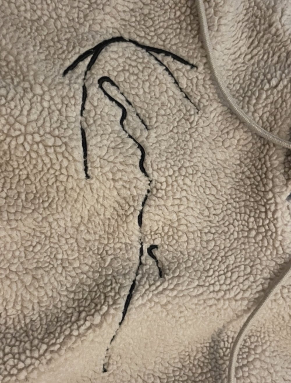 Karl Kani Small Signature Teddy Hoodie