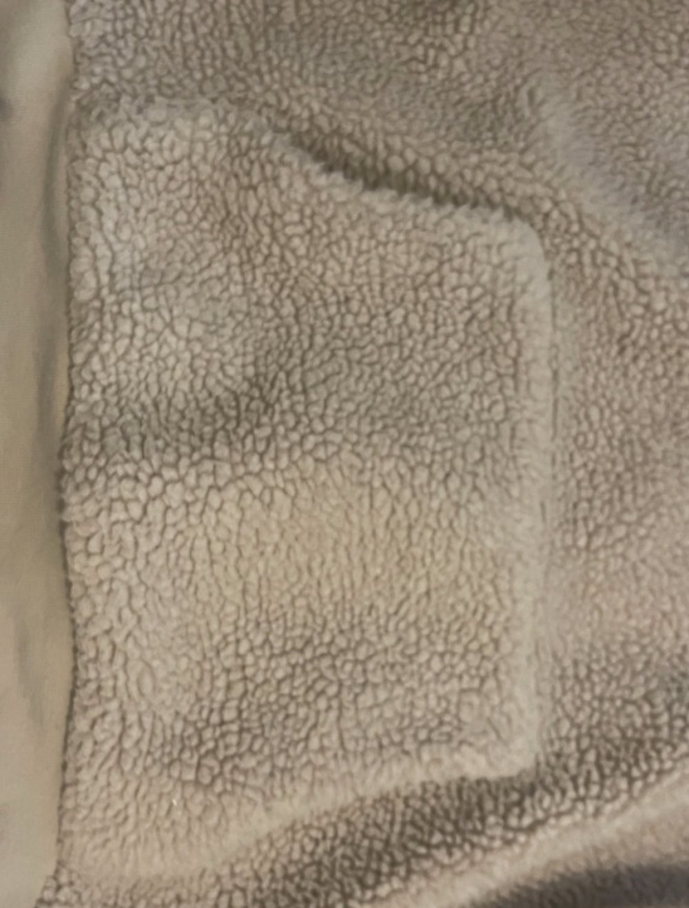 Karl Kani Small Signature Teddy Hoodie