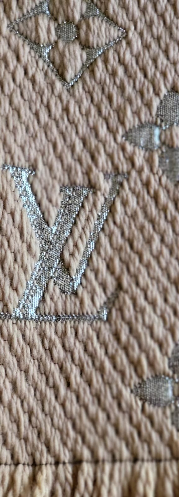 Schal von Louis Vuitton