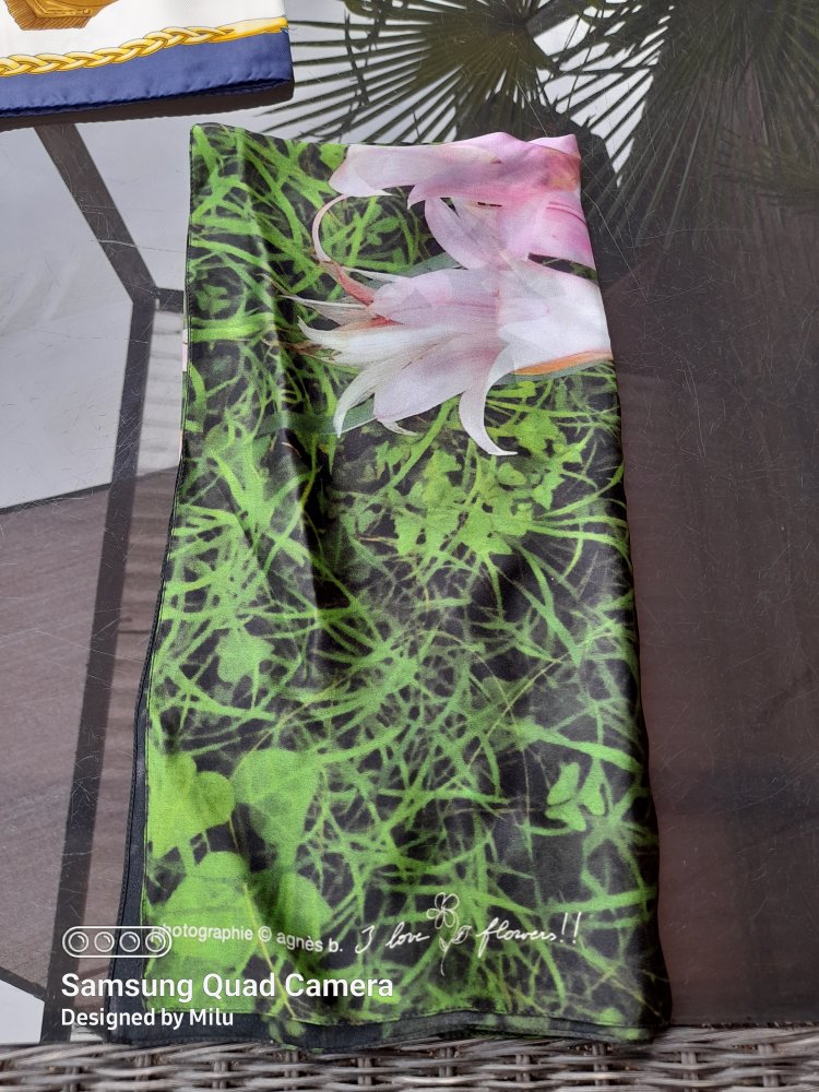 Schöner Schal aus 100% Seide