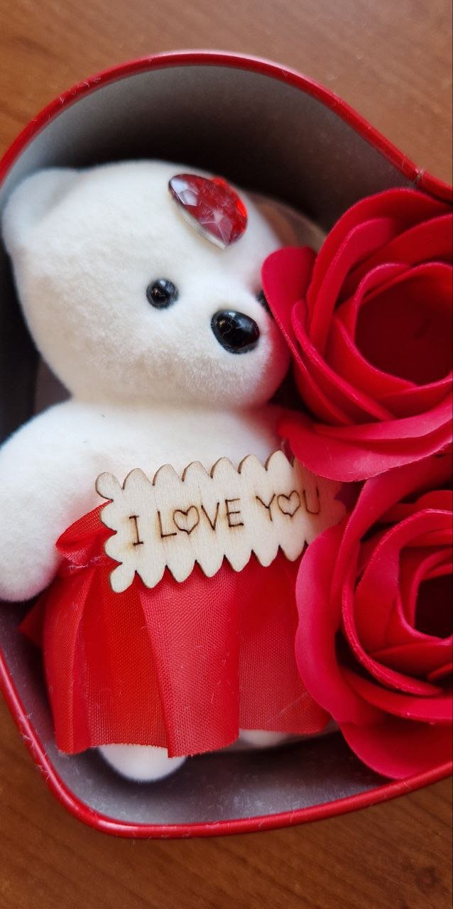 Rosen Seifenblume Geschenkbox mit einem kleinen Plüschtier . Geschenk für Valentinstag