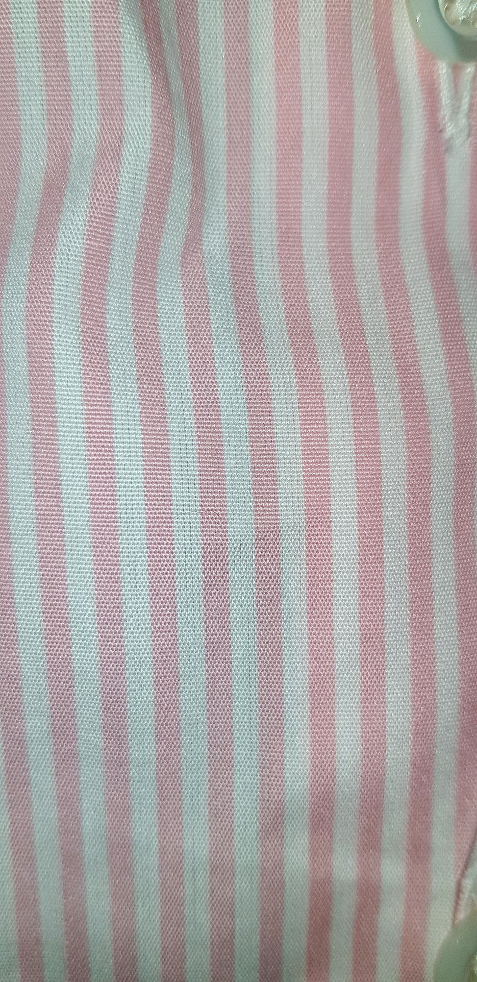 Bluse, Neu, Baumwolle, Gr. 36