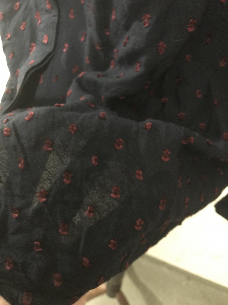 Bluse mit aufgestickten Punkten