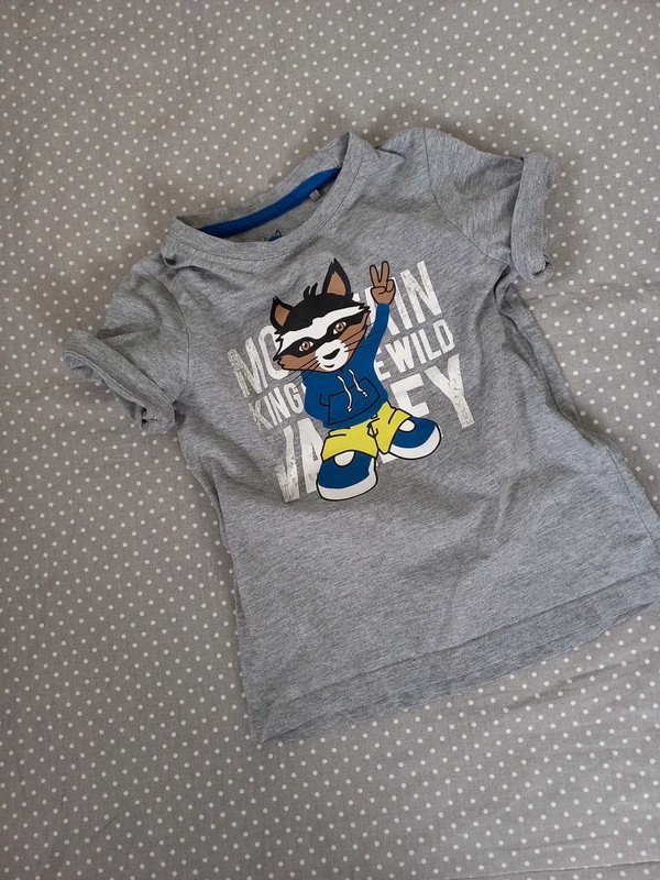 TOP! Lupilu Shirt Gr 98/104, Junge, Print, Waschbär, grau, Kurzarm, Sommer