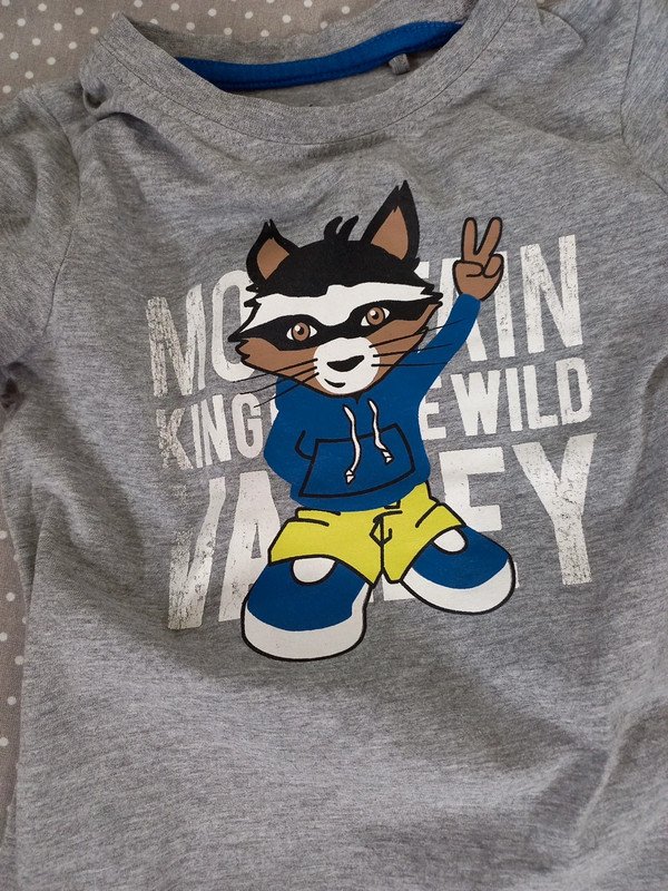 TOP! Lupilu Shirt Gr 98/104, Junge, Print, Waschbär, grau, Kurzarm, Sommer