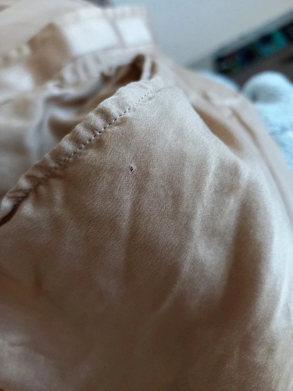 Blogger Massimo Dutti Seiden Rock Gr 36/38/40, S/M/L, nude, beige, Italien, festlich, Frühling