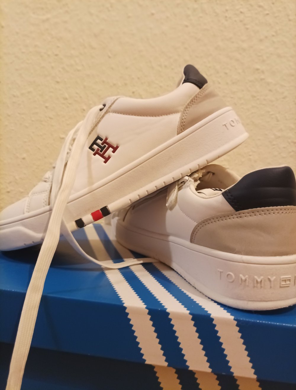 Sneaker _ Tommy Hilfiger