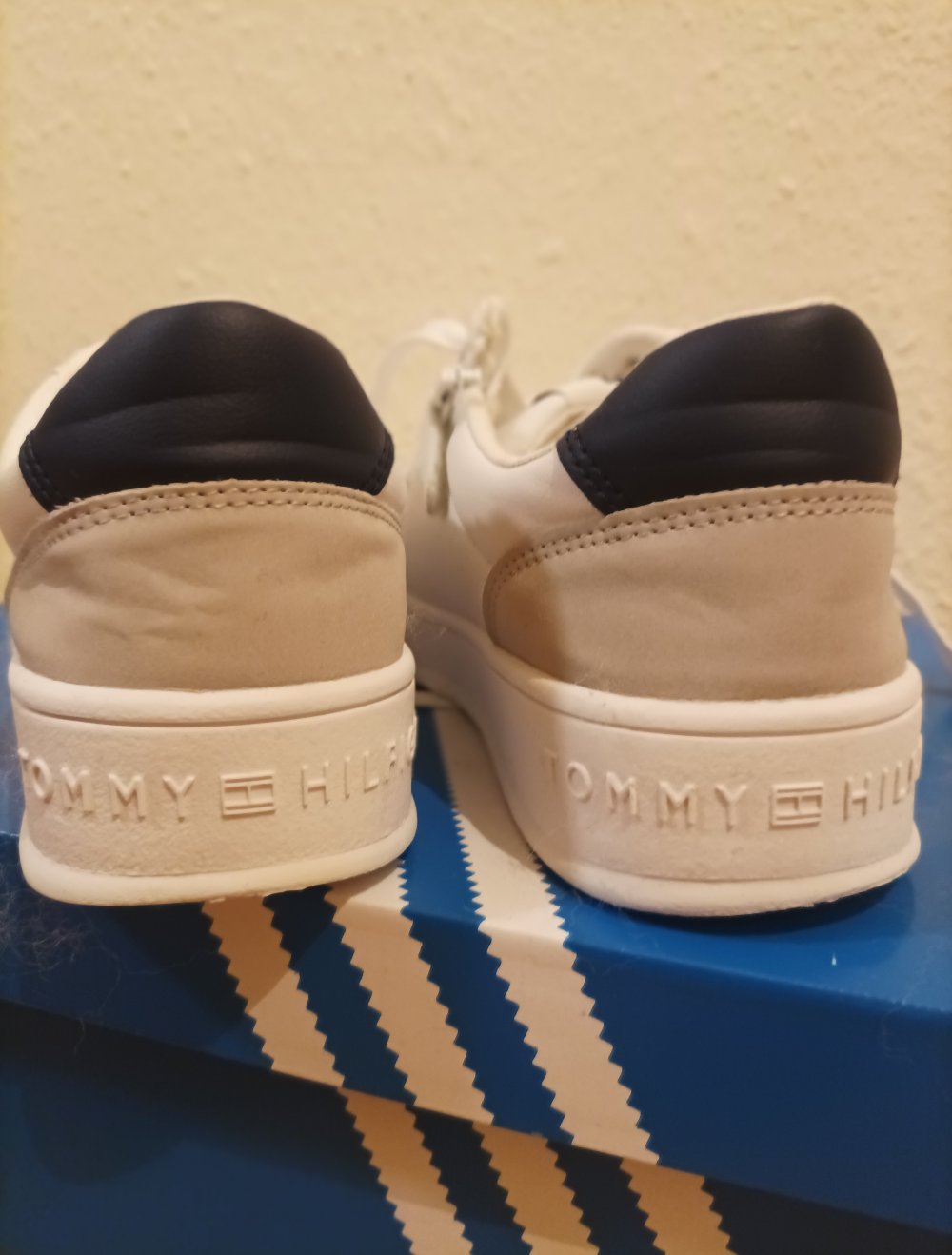 Sneaker _ Tommy Hilfiger