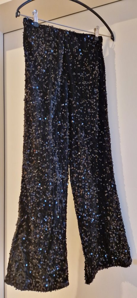 Pailletten Hose ungetragen