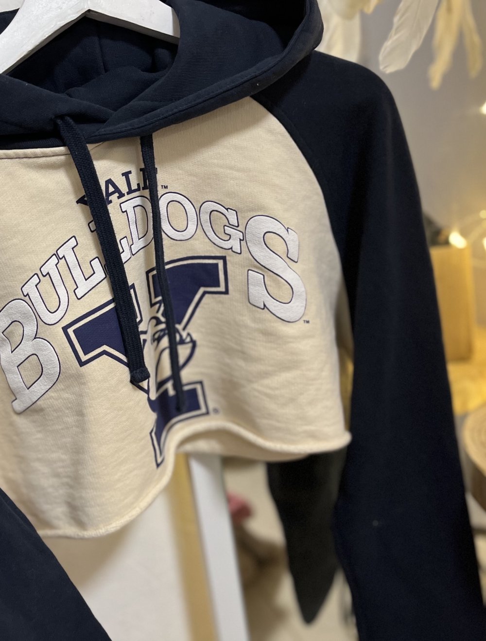 Hoodie cropped ZaraxYALE University