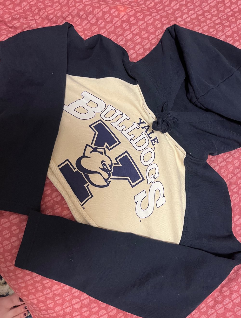 Hoodie cropped ZaraxYALE University