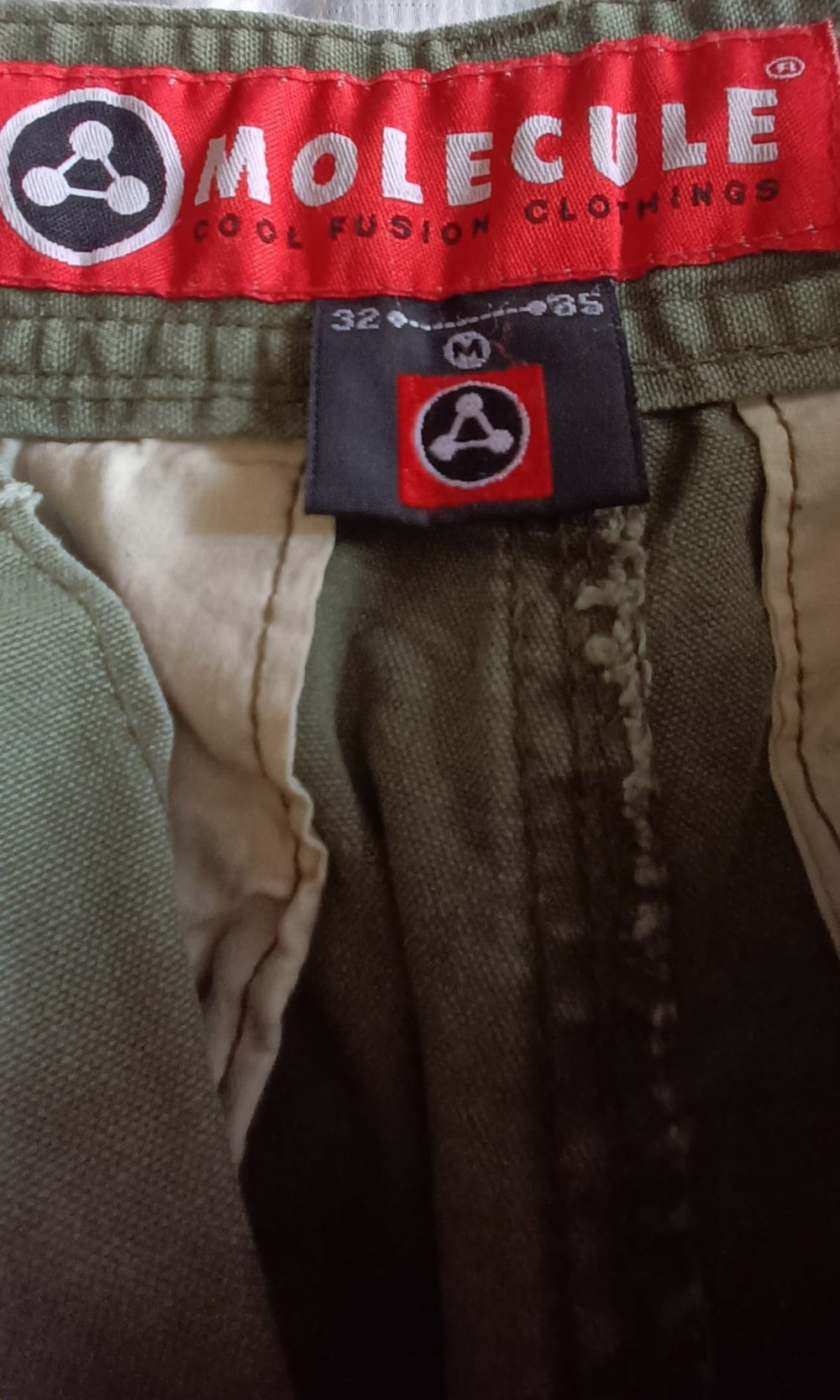 Cargo Shorts Molecule M