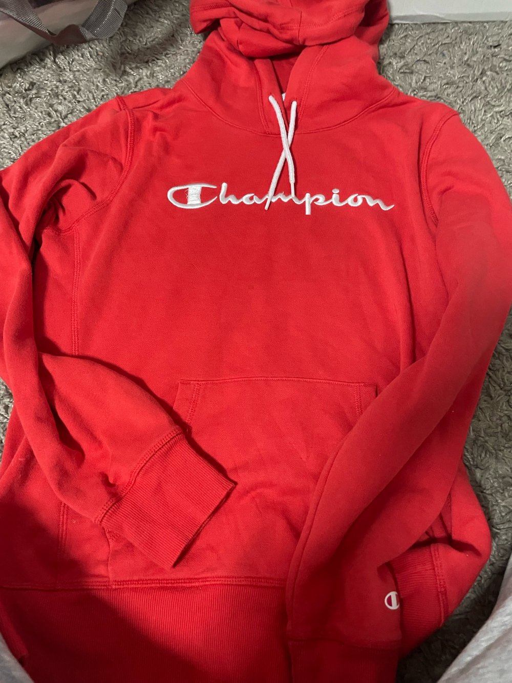 champion hoddie