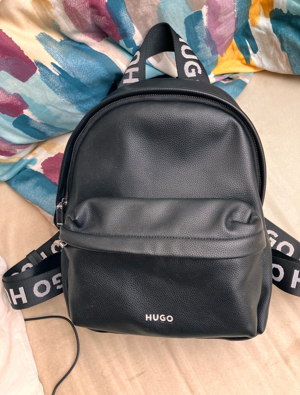 Hugo Tasche