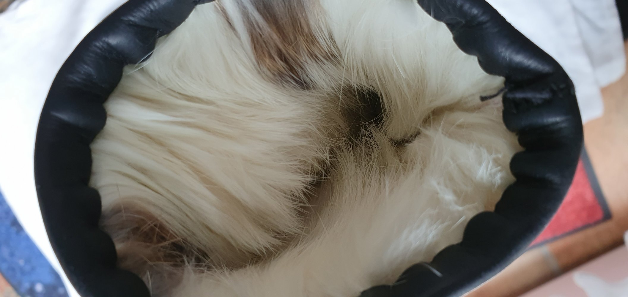 weicher Lederhandschuh, gefüttert