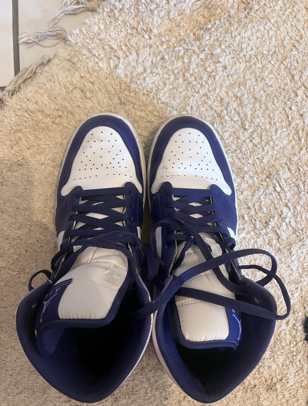 Nike Air Jordan 1 Mid