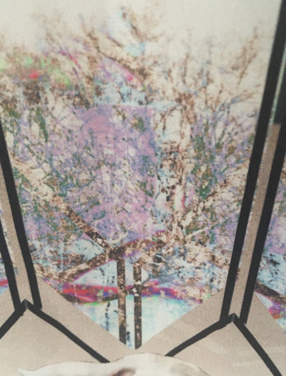 T Shirt von Marc Cain Gr. S - M