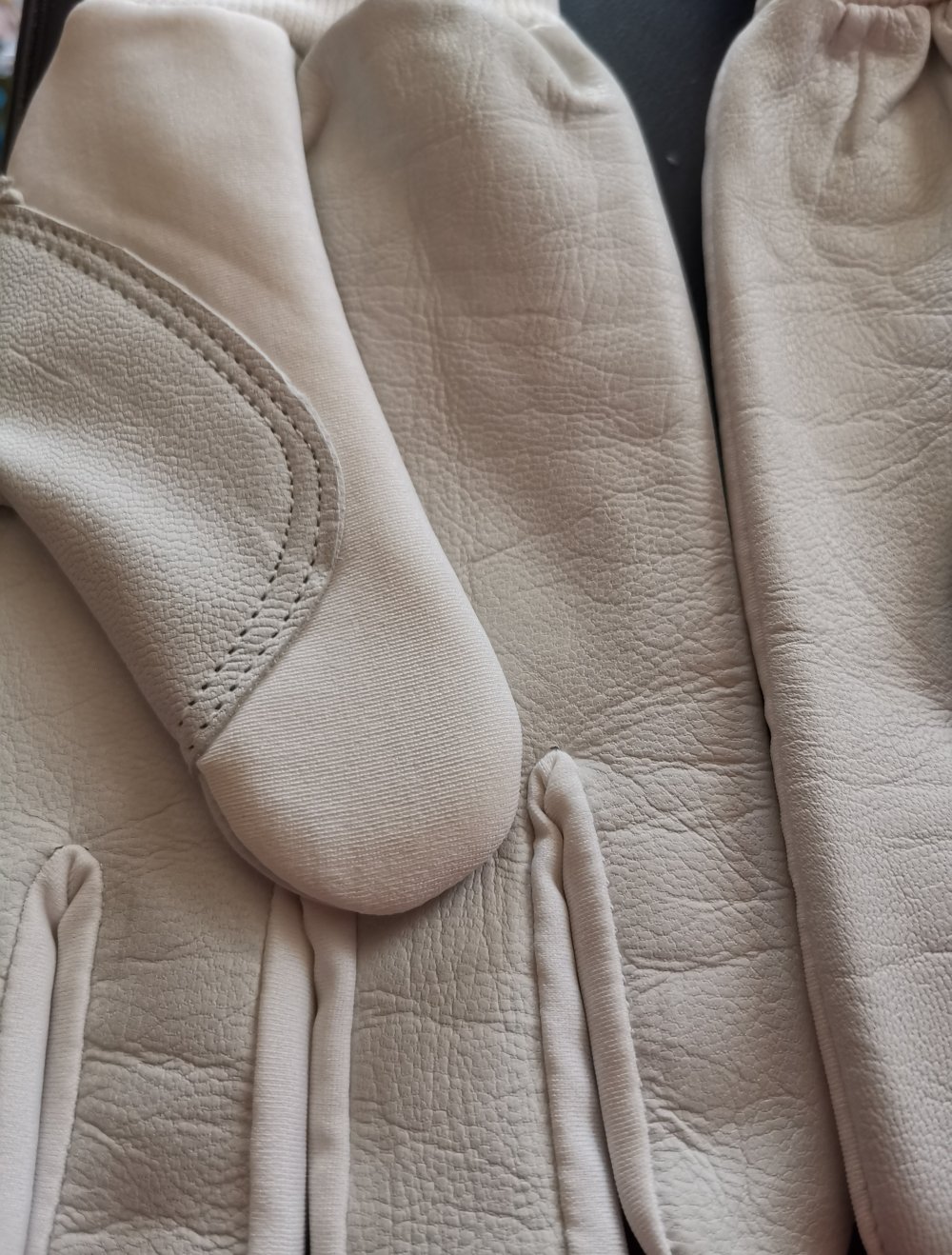 1 Paar Ski Handschuhe echt Leder und lycra Ski langlauf