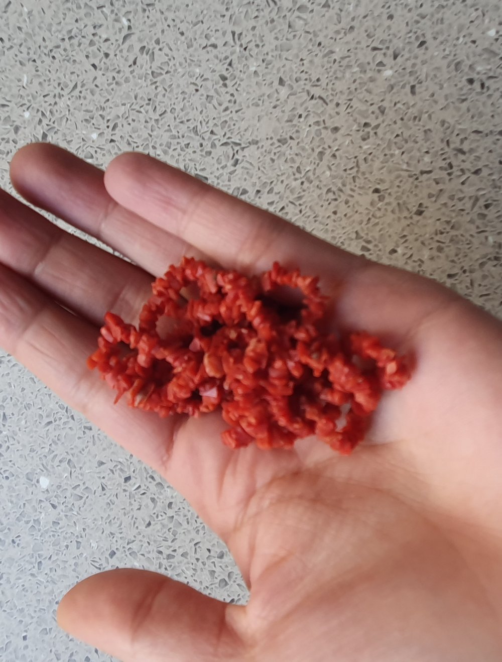 Echte Korallen  Kette