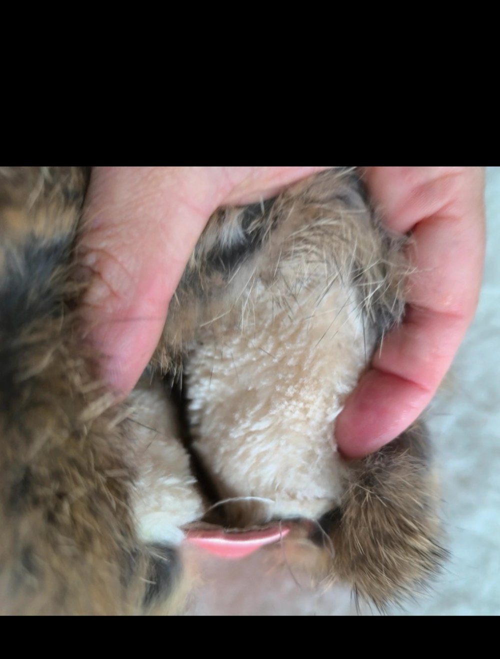 Schöne Mädchen Stiefeletten mit Pelz gr 23