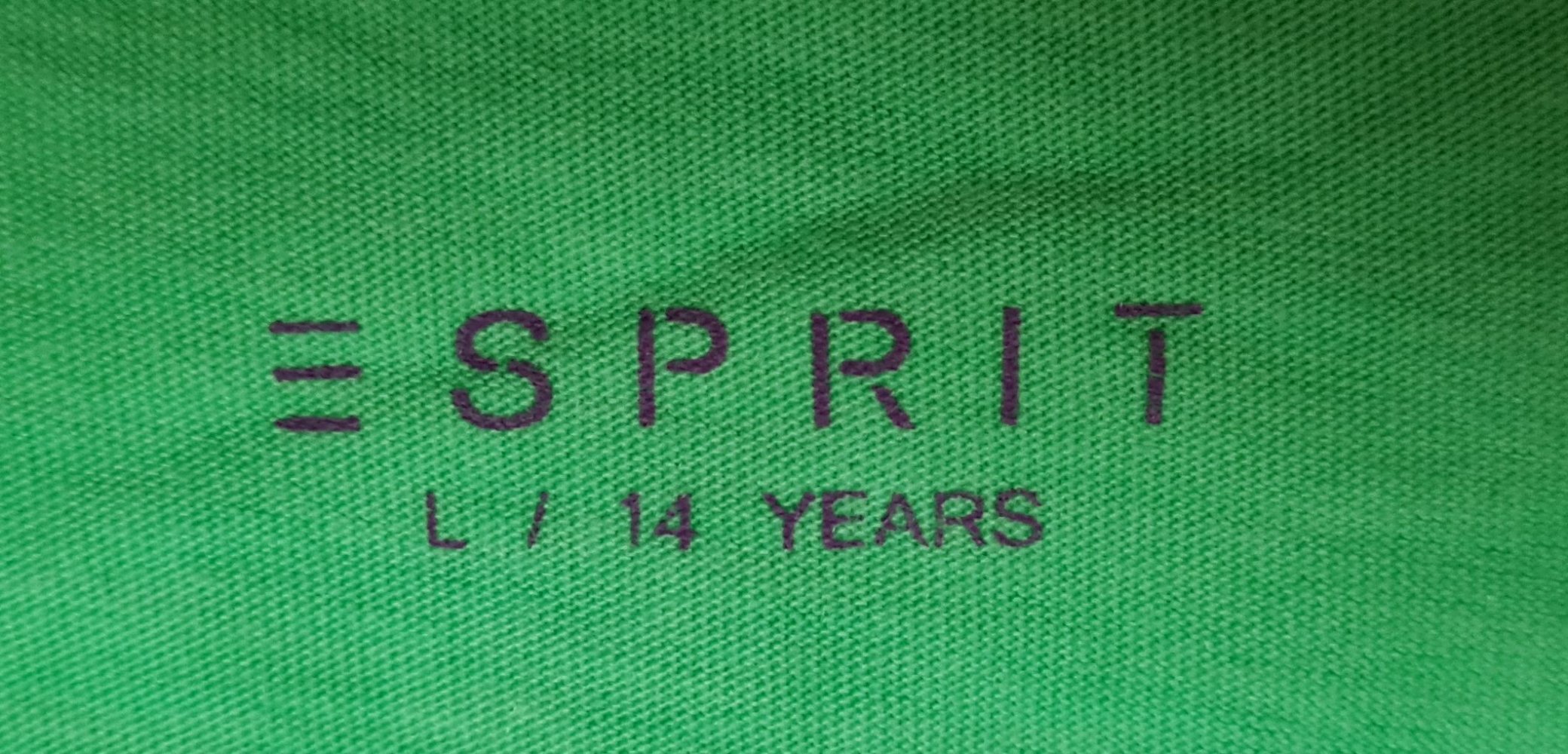 Mintgrünes Longsleeve-Shirt von Esprit mit Pailletten