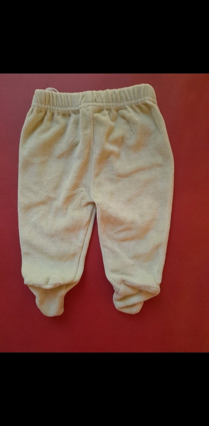 Set Bärchen im Grünen 62 Pullover Jäckchen Hose