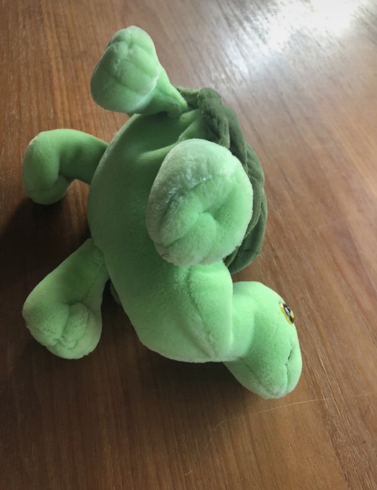 Schildkröte Plüsch Aurora