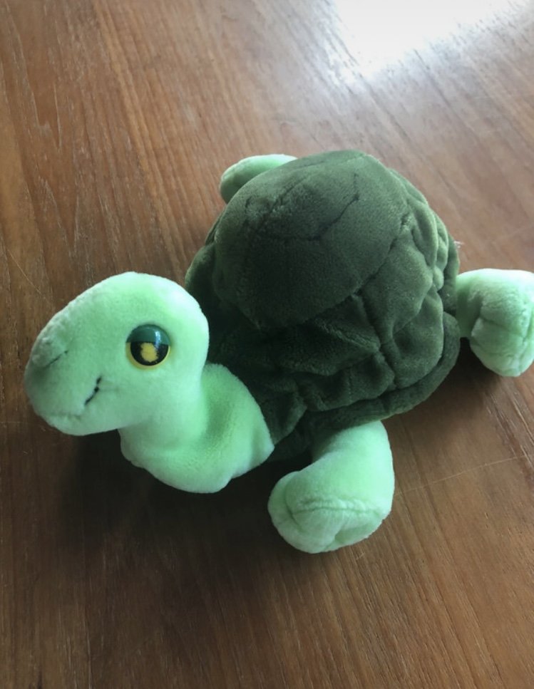 Schildkröte Plüsch Aurora