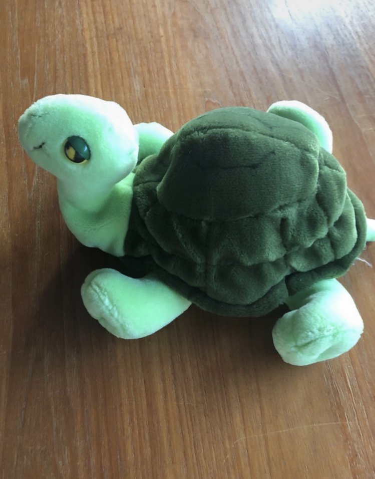 Schildkröte Plüsch Aurora