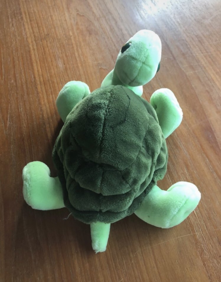Schildkröte Plüsch Aurora