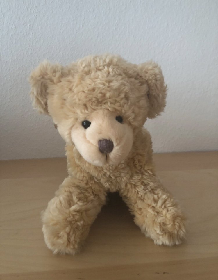 Teddy Plüsch Handtasche