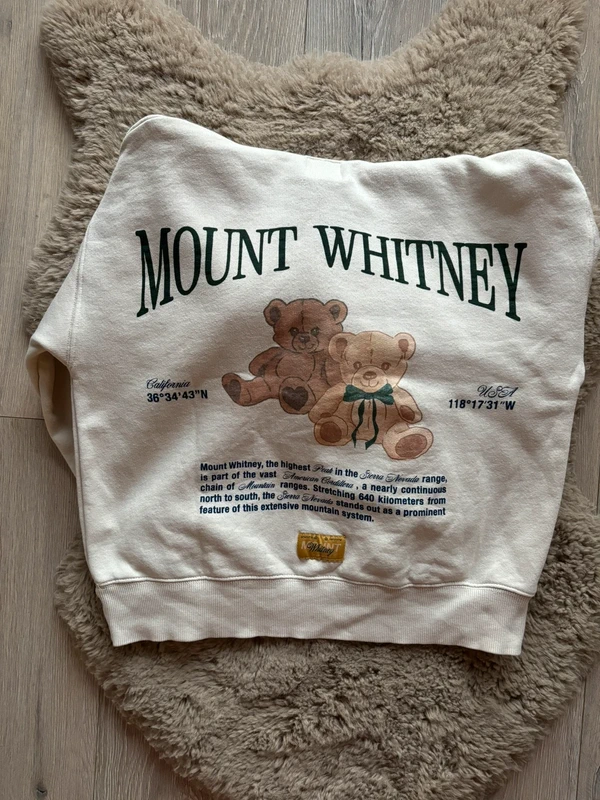 Zara Pulli Pullover Hoodie Mädchen Kinder Gr.146 cm