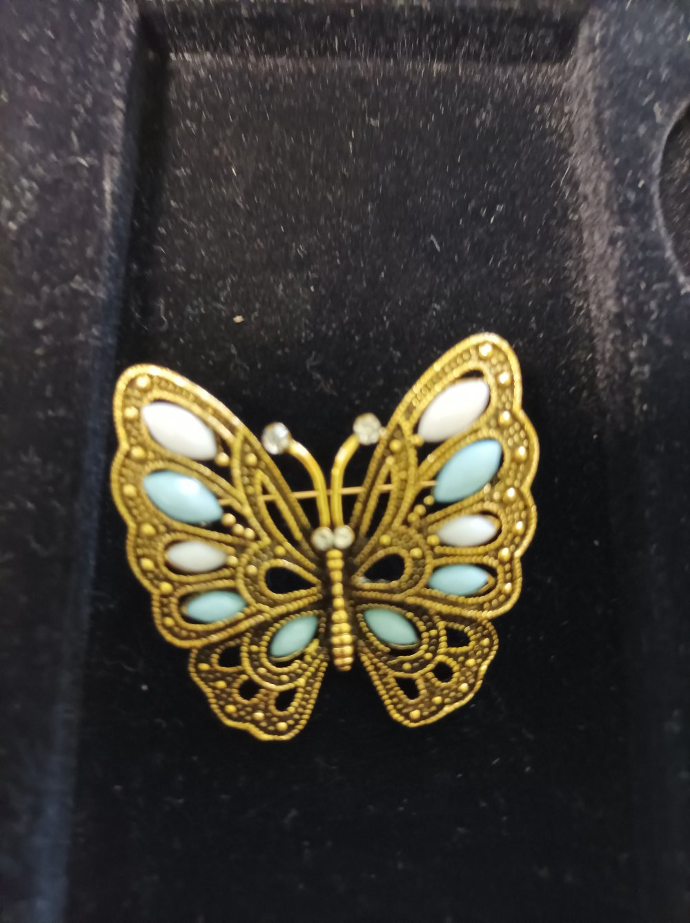 Edle Brosche Schmetterling