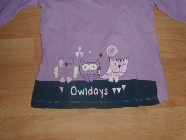 Langarmshirt von Lupilu, flieder mit Eulen, Gr. 110/116