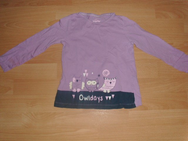 Langarmshirt von Lupilu, flieder mit Eulen, Gr. 110/116