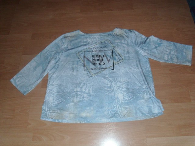Langarmshirt von Gina Laura, mint mit Motiv, Gr. 50/52
