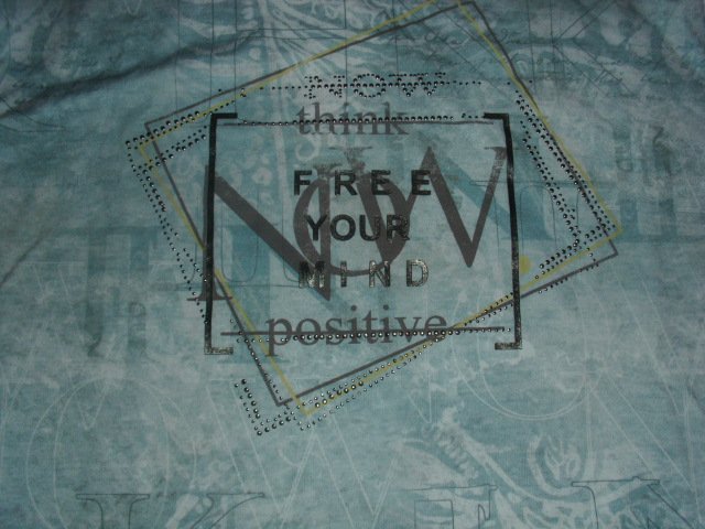 Langarmshirt von Gina Laura, mint mit Motiv, Gr. 50/52