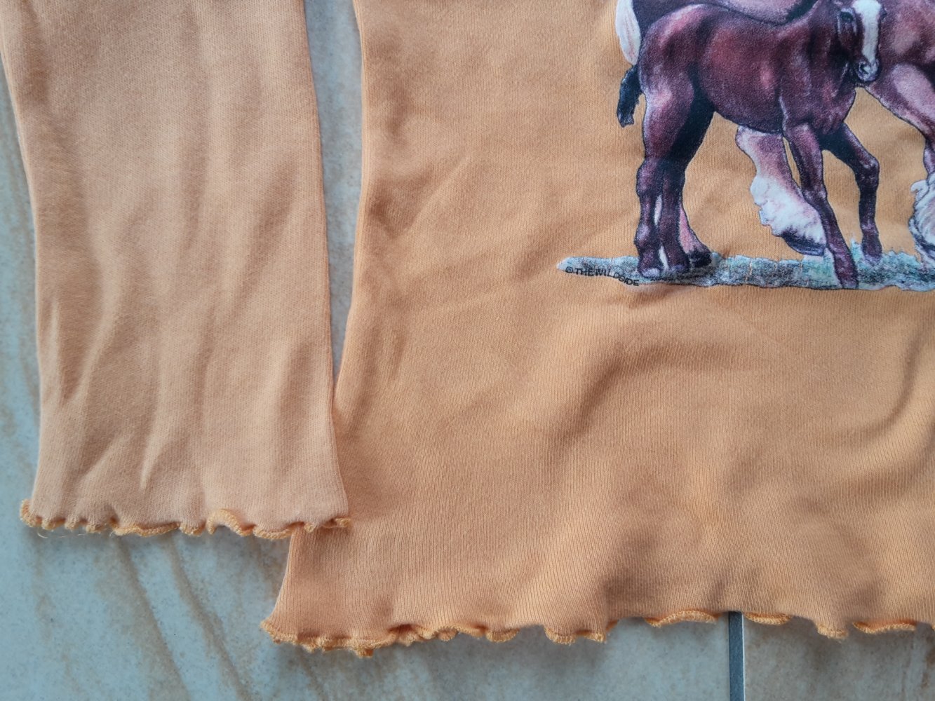 schönes oranges LAShirt mit Pferdemotiv in Gr. 104