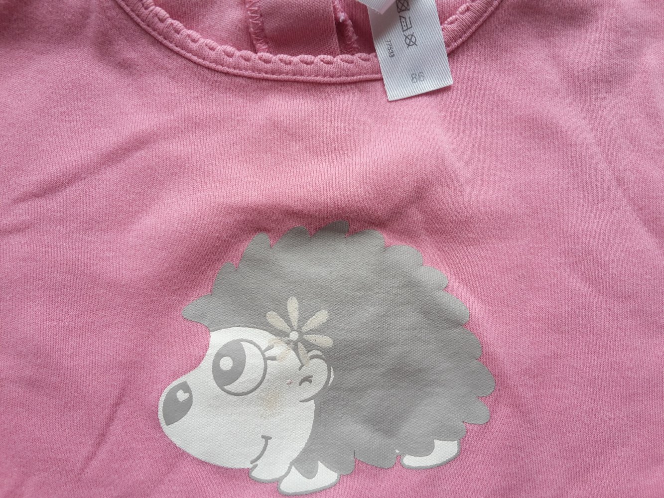 LAShirt mit Igel in Gr. 86 von C&A