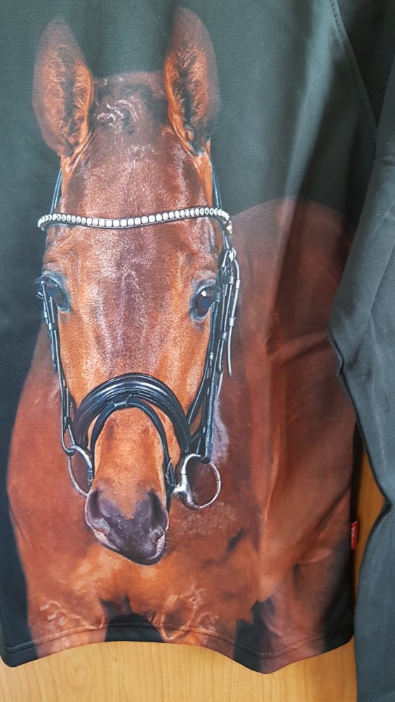 schwarzes, ungetragenes Langarmshirt in Gr. 164 von Red Horse (nur gewaschen)