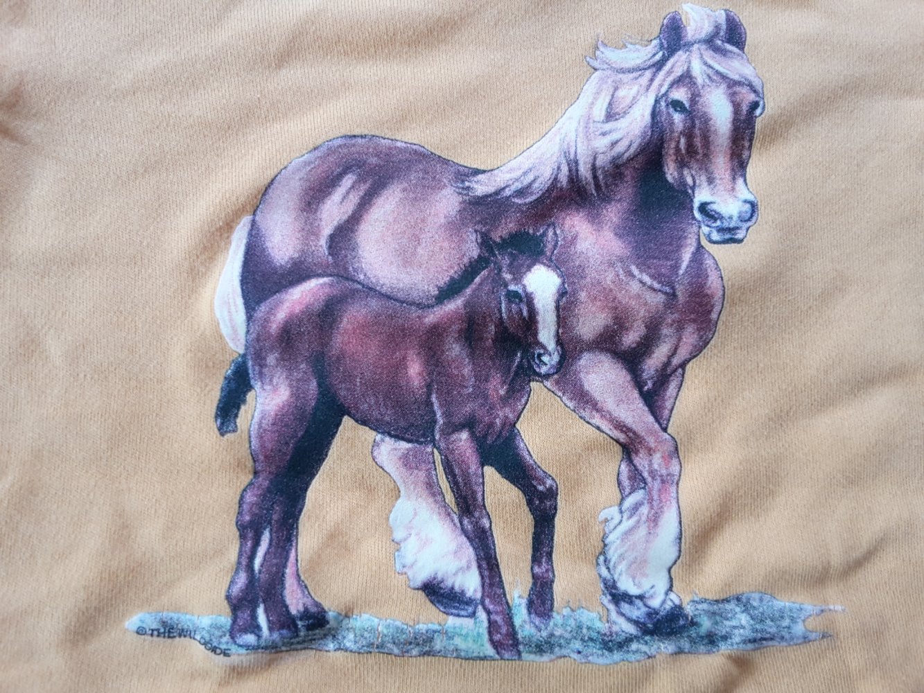 schönes oranges LAShirt mit Pferdemotiv in Gr. 104