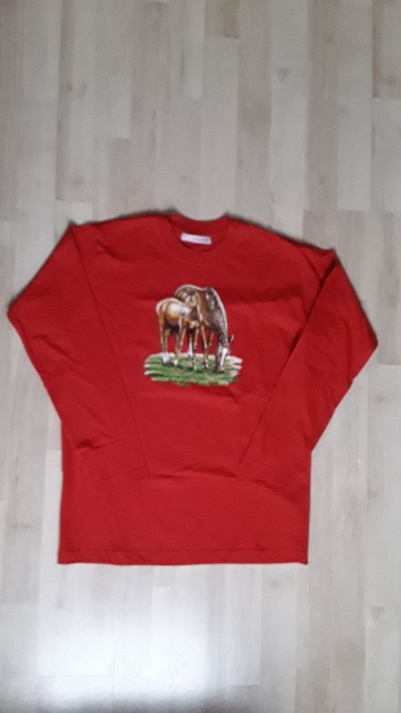 neues ungetragenes Langarmshirt (rot) mit Pferdemotiv in Gr. 164/170