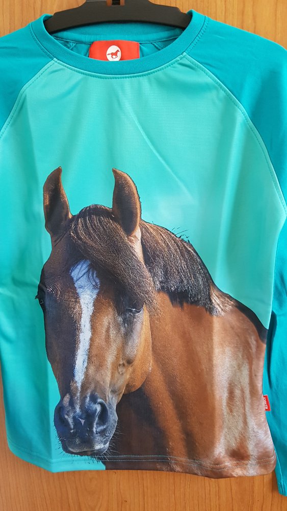 ungetragenes Langarmshirt in Gr. 164 von Red Horse (nur gewaschen)